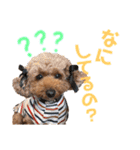 くぅぴぃめぃとはなまるのスタンプ（個別スタンプ：27）