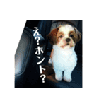 メイとあみ（個別スタンプ：2）