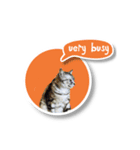 あおくん 英語スタンプバージョン（個別スタンプ：7）