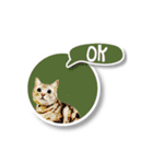 あおくん 英語スタンプバージョン（個別スタンプ：15）