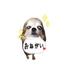 モカちゃんちわわ（個別スタンプ：3）