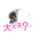 浮田family5（個別スタンプ：1）