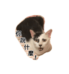 ネコトリオの物語（個別スタンプ：4）