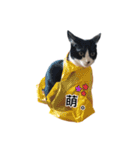 ネコトリオの物語（個別スタンプ：18）