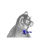 stampoo365（個別スタンプ：1）