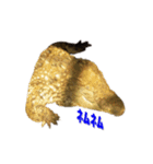 stampoo365（個別スタンプ：6）
