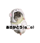 ぷにモガの日常（個別スタンプ：6）