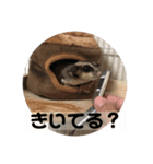 ぷにモガの日常（個別スタンプ：8）