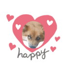 Fluffyー（個別スタンプ：3）