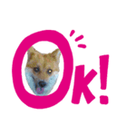 Fluffyー（個別スタンプ：7）