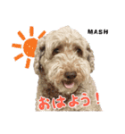 安藤さんちのマッシュくん（個別スタンプ：2）