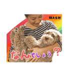 安藤さんちのマッシュくん（個別スタンプ：16）