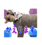 安藤さんちのマッシュくん（個別スタンプ：20）