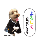 安藤さんちのマッシュくん（個別スタンプ：23）