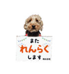 安藤さんちのマッシュくん（個別スタンプ：24）