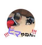 とぅまくんスタンプ03（個別スタンプ：13）