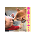とぅまくんスタンプ03（個別スタンプ：21）