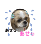 キャンビビちー3（個別スタンプ：8）