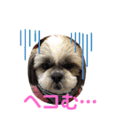 キャンビビちー3（個別スタンプ：17）