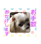 キャンビビちー3（個別スタンプ：18）