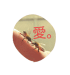 ミツバチのきもち。（個別スタンプ：3）
