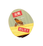 ミツバチのきもち。（個別スタンプ：10）