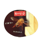 ミツバチのきもち。（個別スタンプ：14）