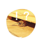 ミツバチのきもち。（個別スタンプ：15）