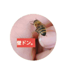 ミツバチのきもち。（個別スタンプ：18）