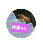 ミツバチのきもち。（個別スタンプ：21）