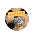 ミツバチのきもち。（個別スタンプ：23）