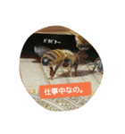 ミツバチのきもち。（個別スタンプ：24）