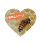 ミツバチのきもち。（個別スタンプ：29）