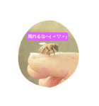 ミツバチのきもち。（個別スタンプ：31）