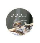 ミツバチのきもち。（個別スタンプ：36）