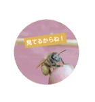 ミツバチのきもち。（個別スタンプ：38）
