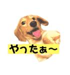 ミニチュアダックスまめ太郎のスタンプ♡（個別スタンプ：6）