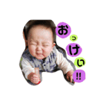 息子氏のスタンプ（個別スタンプ：1）
