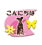 ミニチュアピンシャーの日常会話 Part4（個別スタンプ：2）