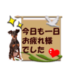 ミニチュアピンシャーの日常会話 Part4（個別スタンプ：7）
