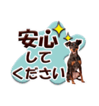ミニチュアピンシャーの日常会話 Part4（個別スタンプ：9）
