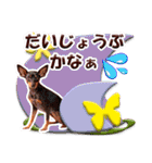 ミニチュアピンシャーの日常会話 Part4（個別スタンプ：11）
