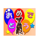 ミニチュアピンシャーの日常会話 Part4（個別スタンプ：13）