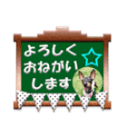 ミニチュアピンシャーの日常会話 Part4（個別スタンプ：19）