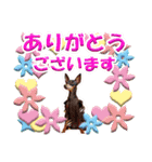 ミニチュアピンシャーの日常会話 Part4（個別スタンプ：22）