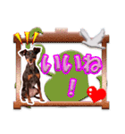 ミニチュアピンシャーの日常会話 Part4（個別スタンプ：25）