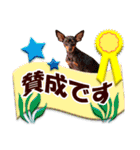 ミニチュアピンシャーの日常会話 Part4（個別スタンプ：26）