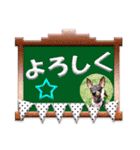 ミニチュアピンシャーの日常会話 Part4（個別スタンプ：28）