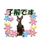 ミニチュアピンシャーの日常会話 Part4（個別スタンプ：34）