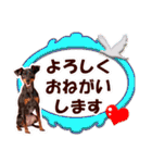 ミニチュアピンシャーの日常会話 Part4（個別スタンプ：36）
